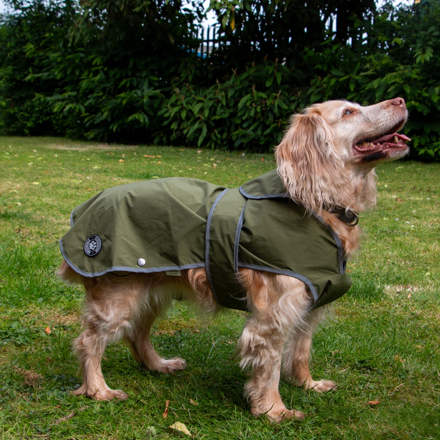 ANCOL STORMGUARD SOFT SHELL