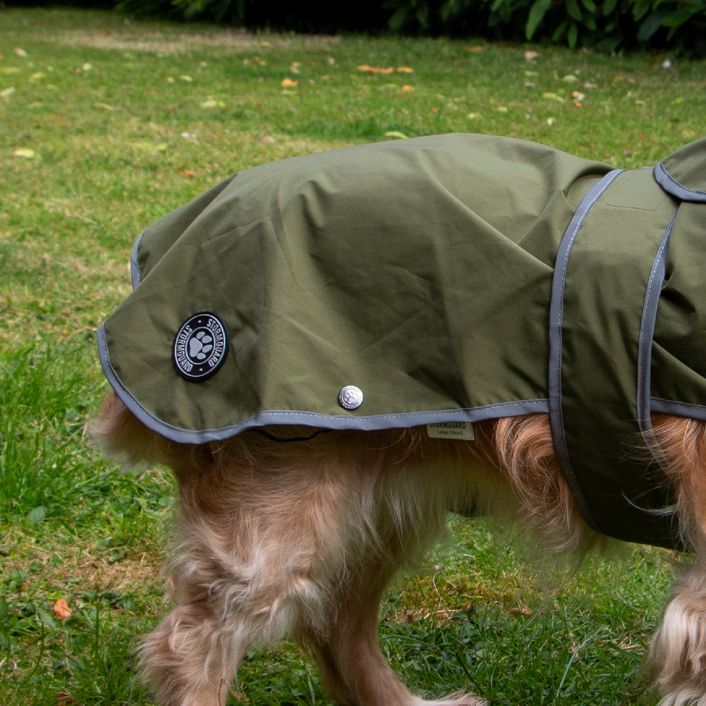 ANCOL STORMGUARD SOFT SHELL