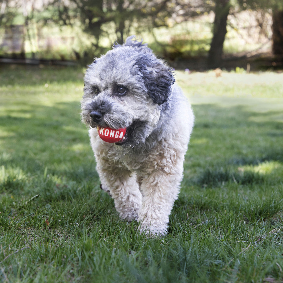 SIGNATURE BALLS 2-PK