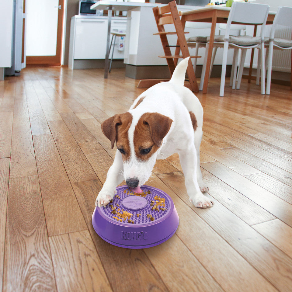 KONG LICKS SPINS FOR DOGS AND CATS