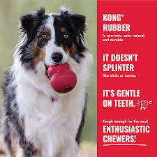 KONG CLASSIC