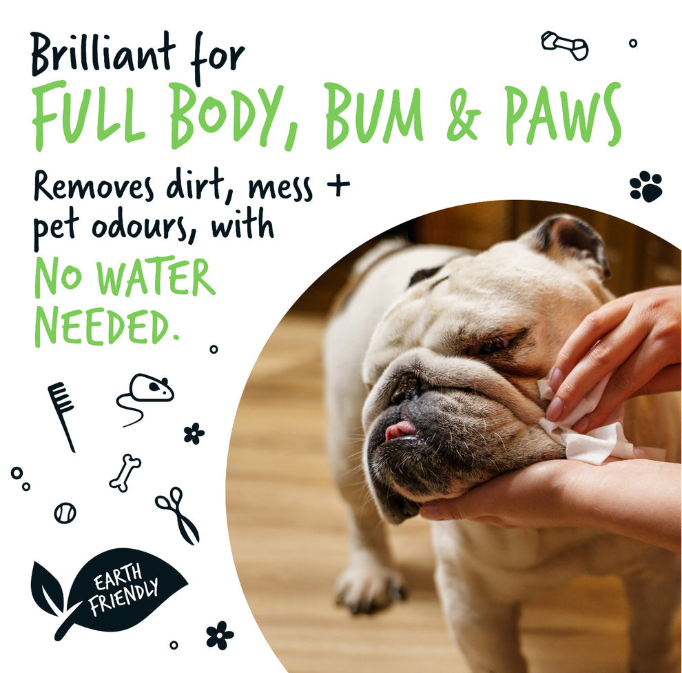 Bugalugs Fragrance Free Pet Wipes for Full Body, Bum & Paws (110 Wipes)