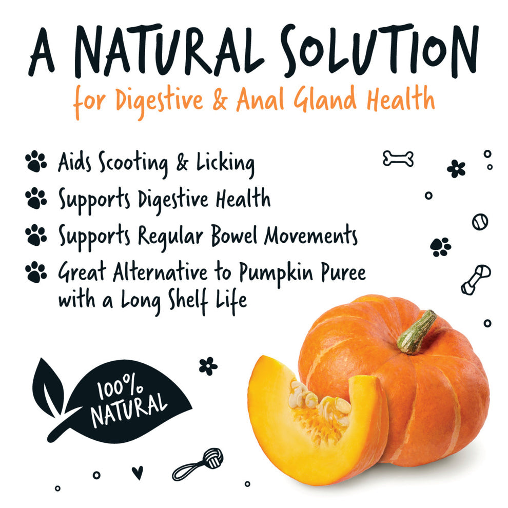 Bugalugs Pumpkin Powder Supplement for Dogs (200g)