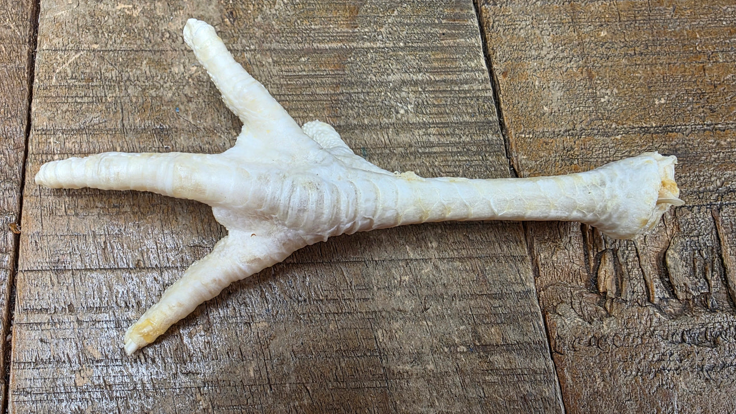 PUFFED CHICKEN FEET