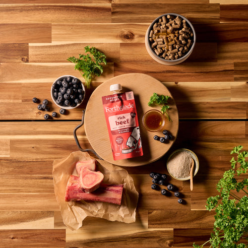Forthglade Rich beef bone broth topper