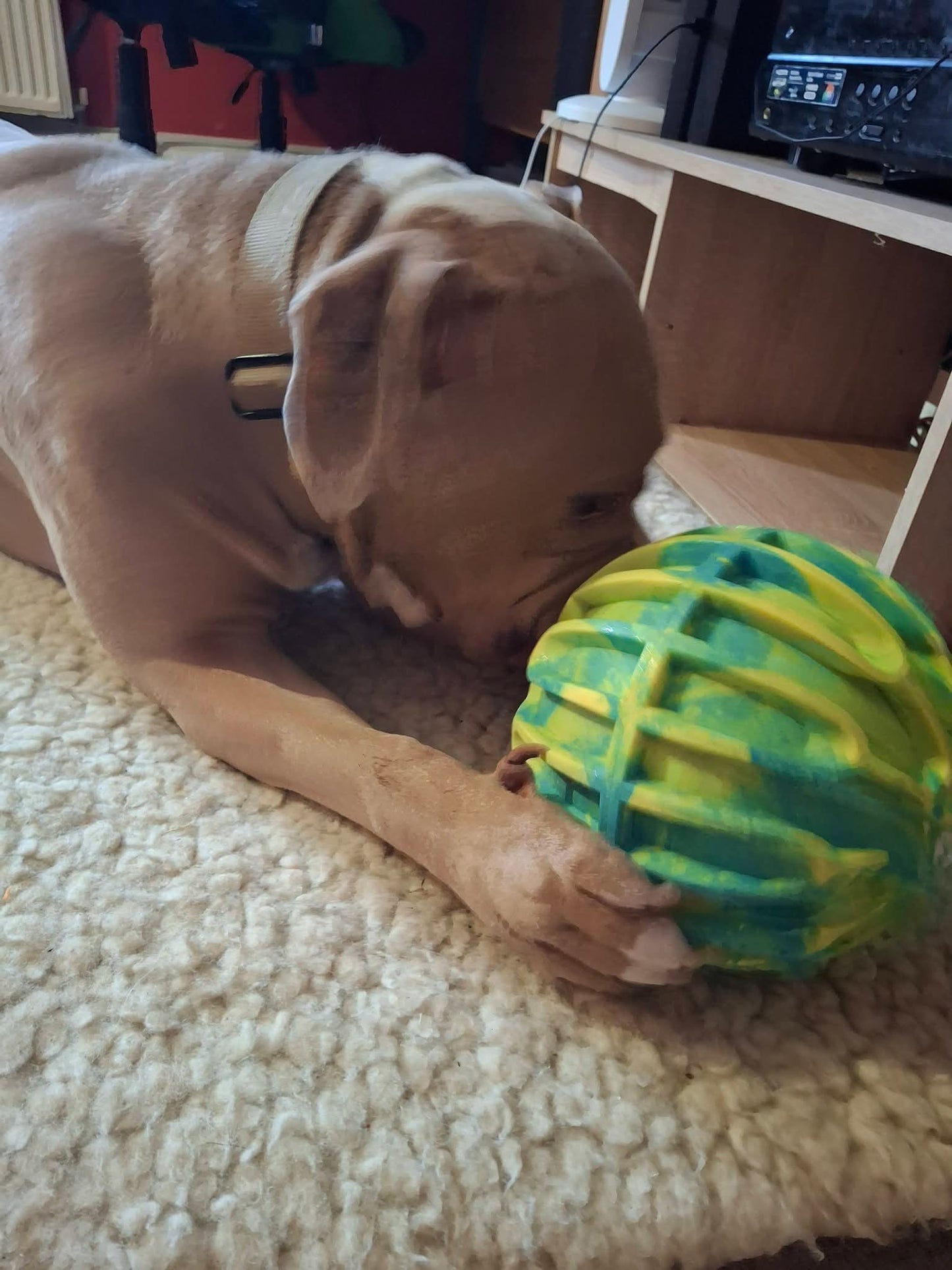 KONG Flexball Sport Footbal XL