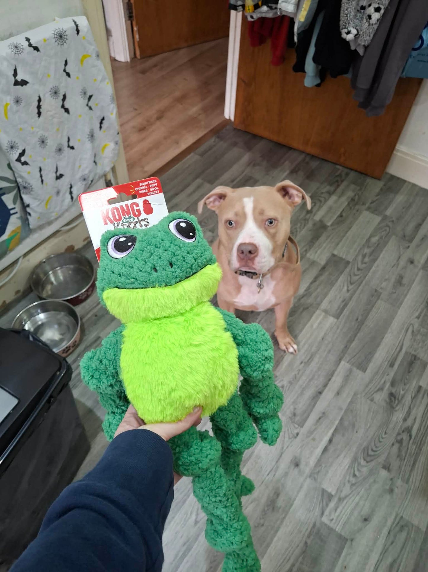 KONG Knots Frog