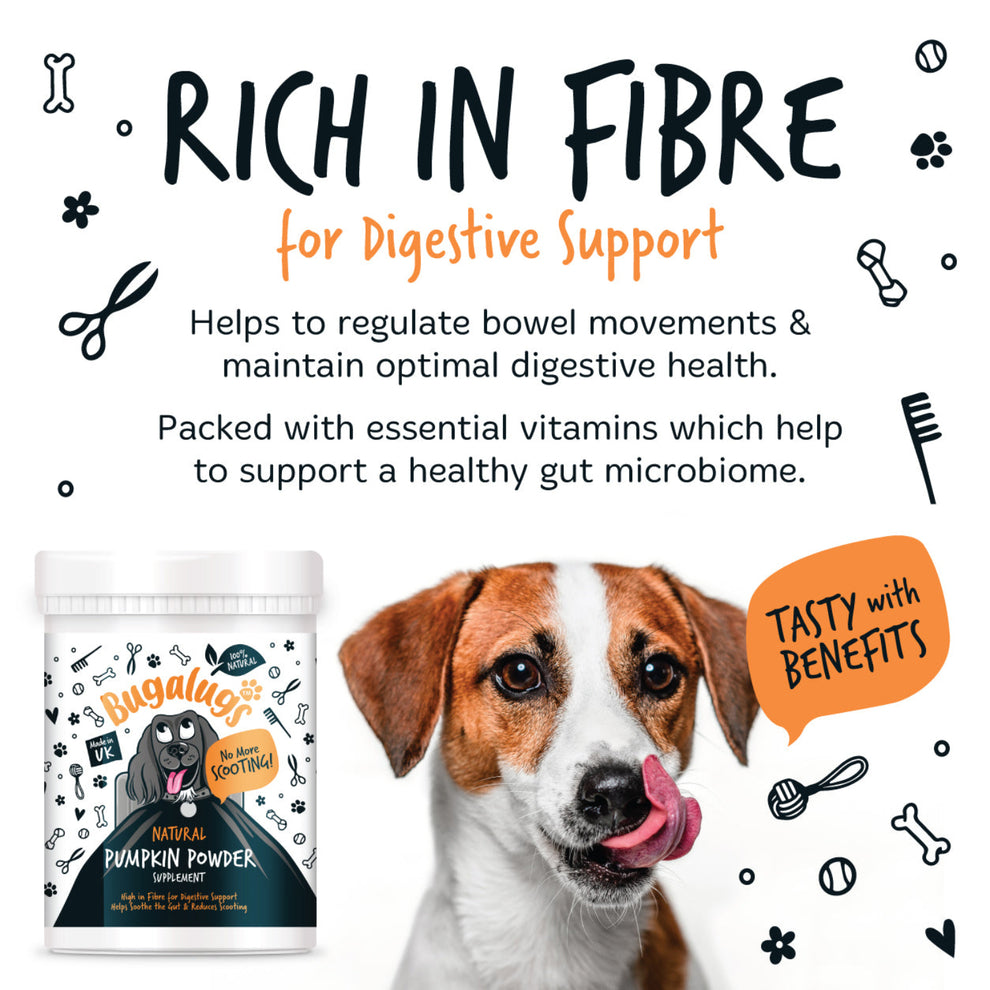 Bugalugs Pumpkin Powder Supplement for Dogs (200g)