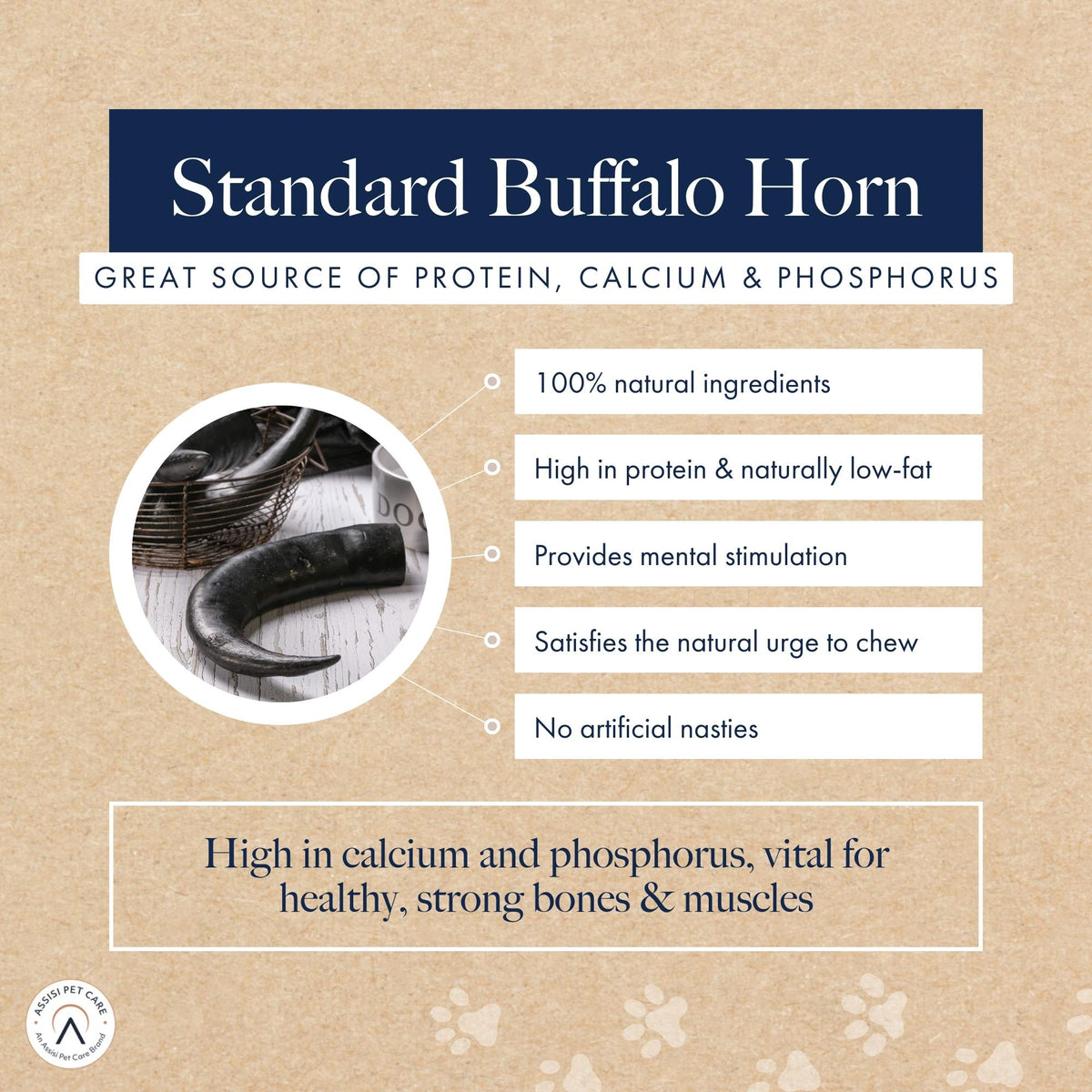 Standard Buffalo Horn