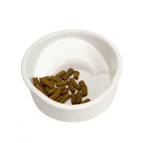 Great&Small Ceramic Flat Nosed Dog Bowl 16.5cm