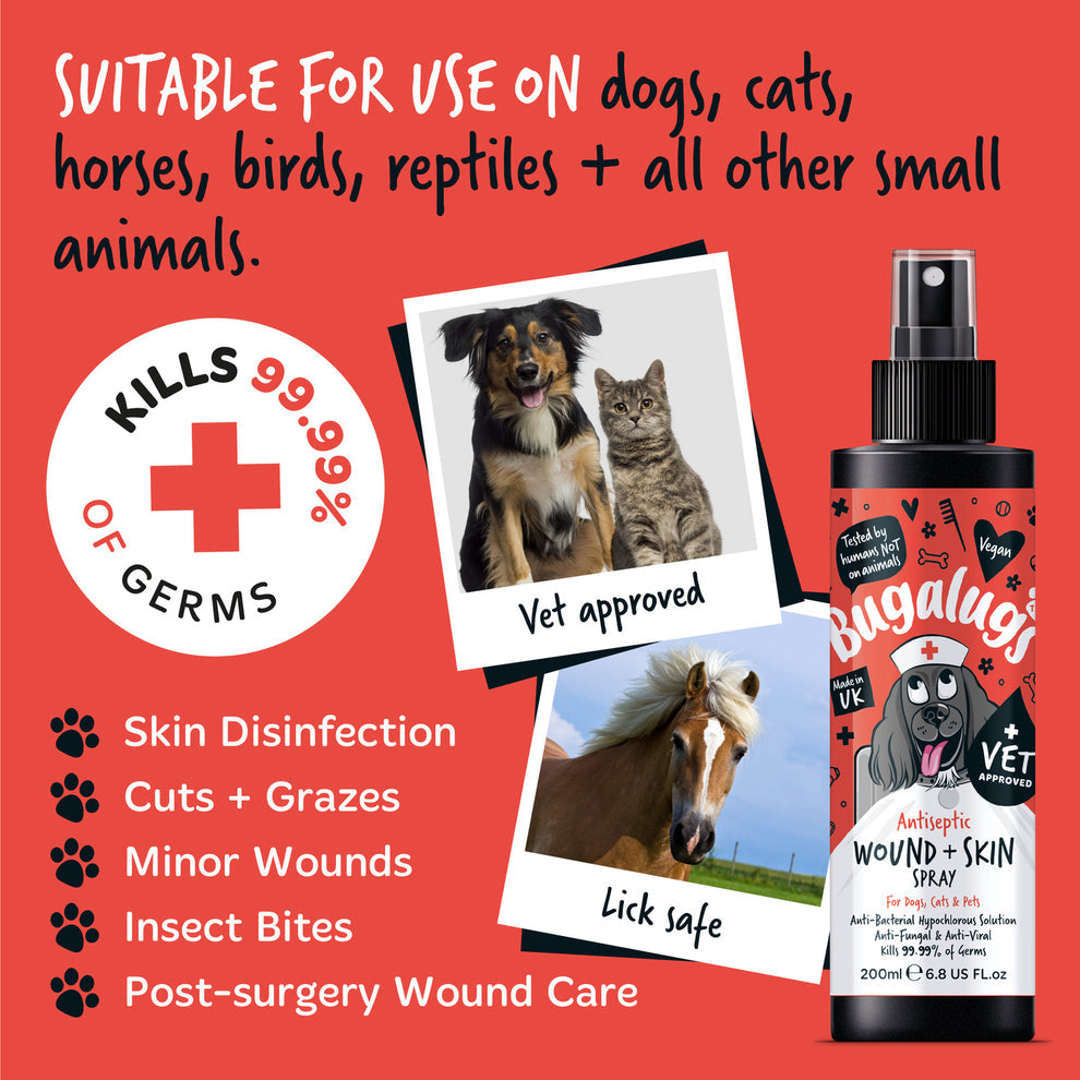 Bugalugs Antiseptic Wound & Skin Spray for Dogs, Cats & Pets 200ml
