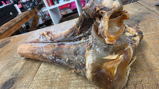 OSTRICH BONE
