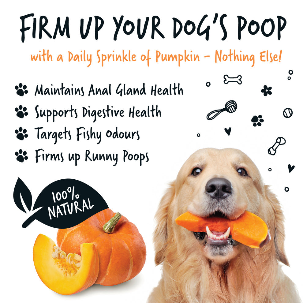 Bugalugs Pumpkin Powder Supplement for Dogs (200g)