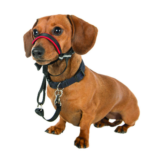 Halti Optifit Headcollar small
