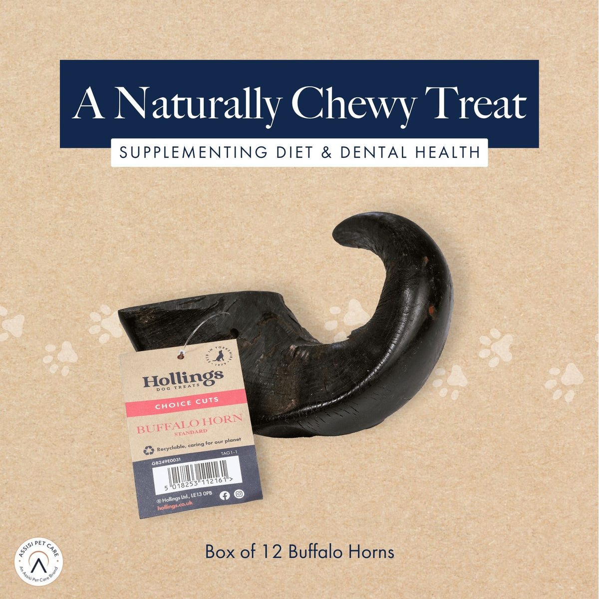 Standard Buffalo Horn