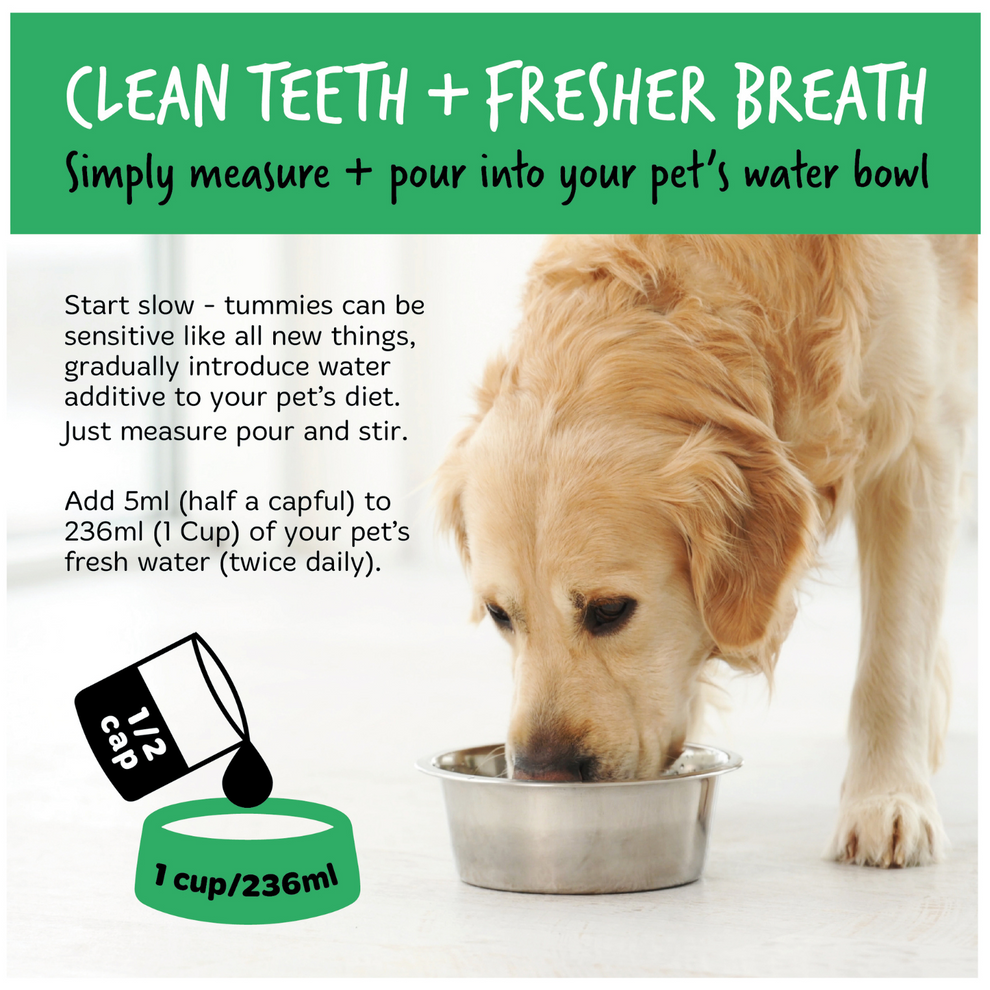 Bugalugs Dental Care Solution Water Additive for Dogs & Cats 250ml