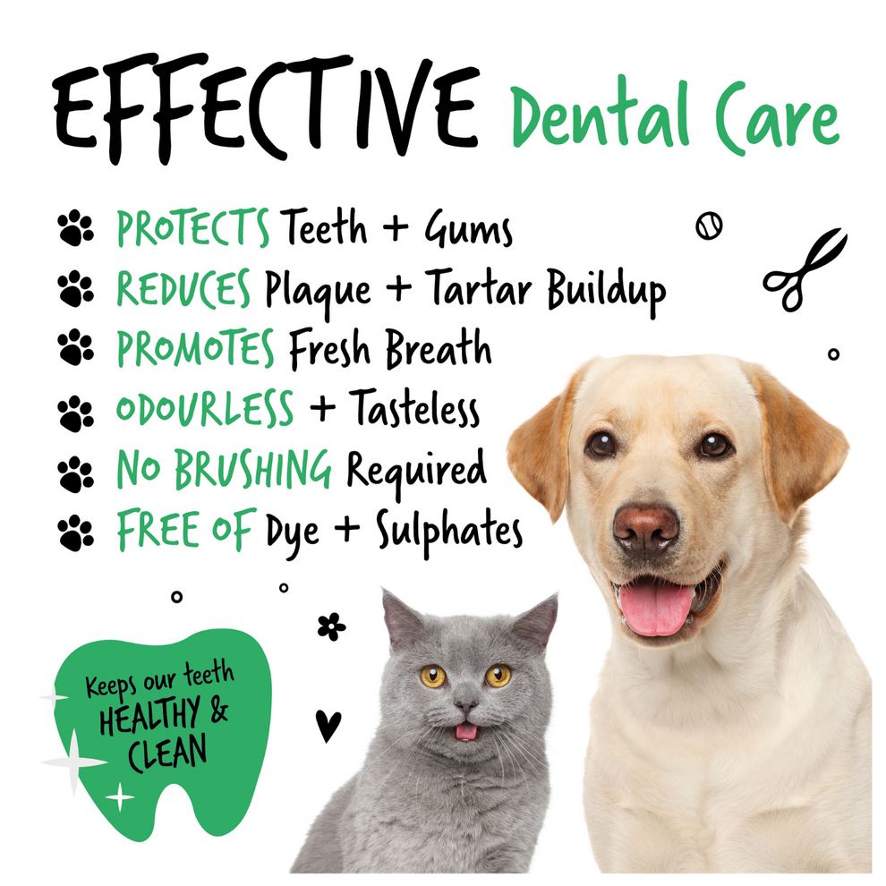 Bugalugs Dental Care Solution Water Additive for Dogs & Cats 250ml