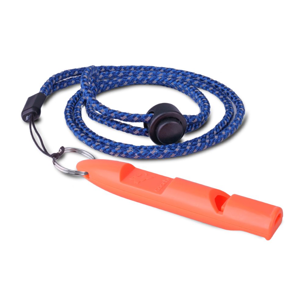 Training whistle