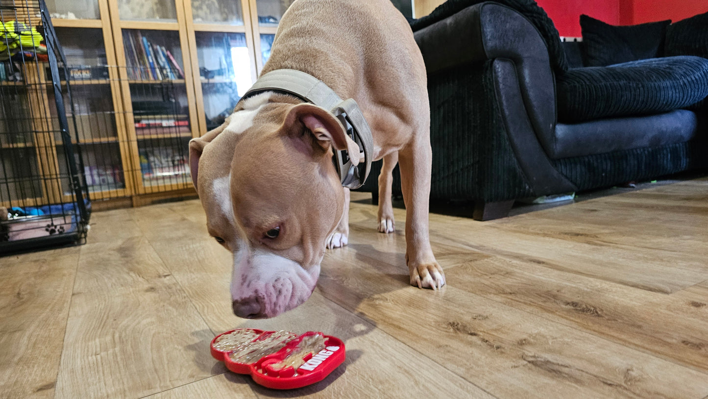 KONG LICKS