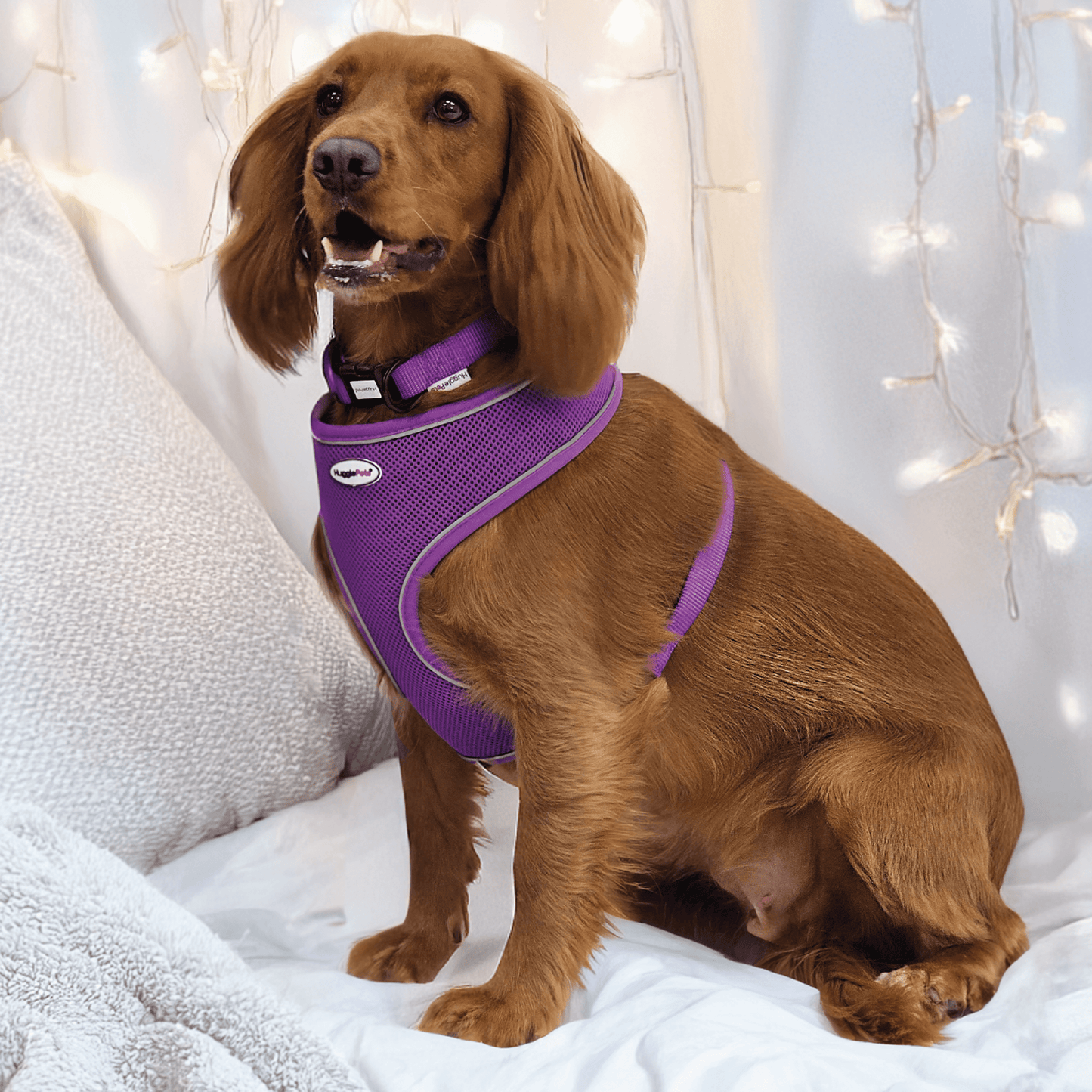 HugglePets Adjustable Snappy Dog Collar large 45cm-70cm