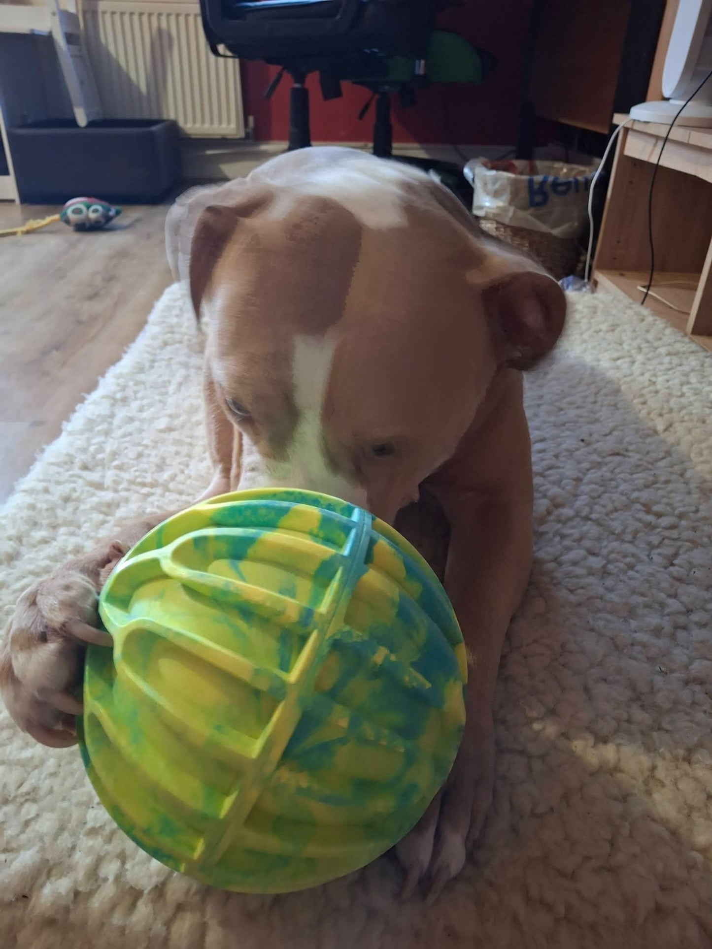 KONG Flexball Sport Footbal XL