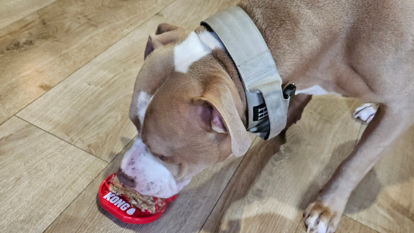 KONG LICKS