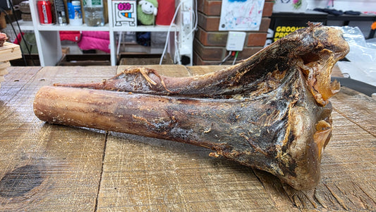 OSTRICH BONE