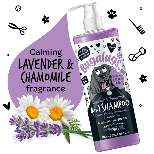 Bugalugs Lavender & Chamomile 4-in-1 Calming Dog Shampoo 250ml