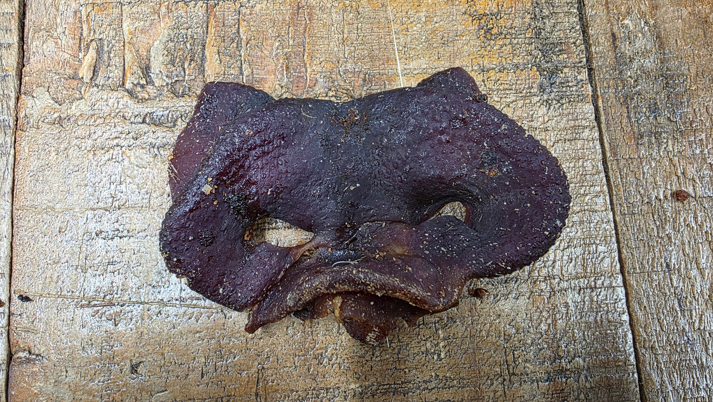 PIG SNOUT
