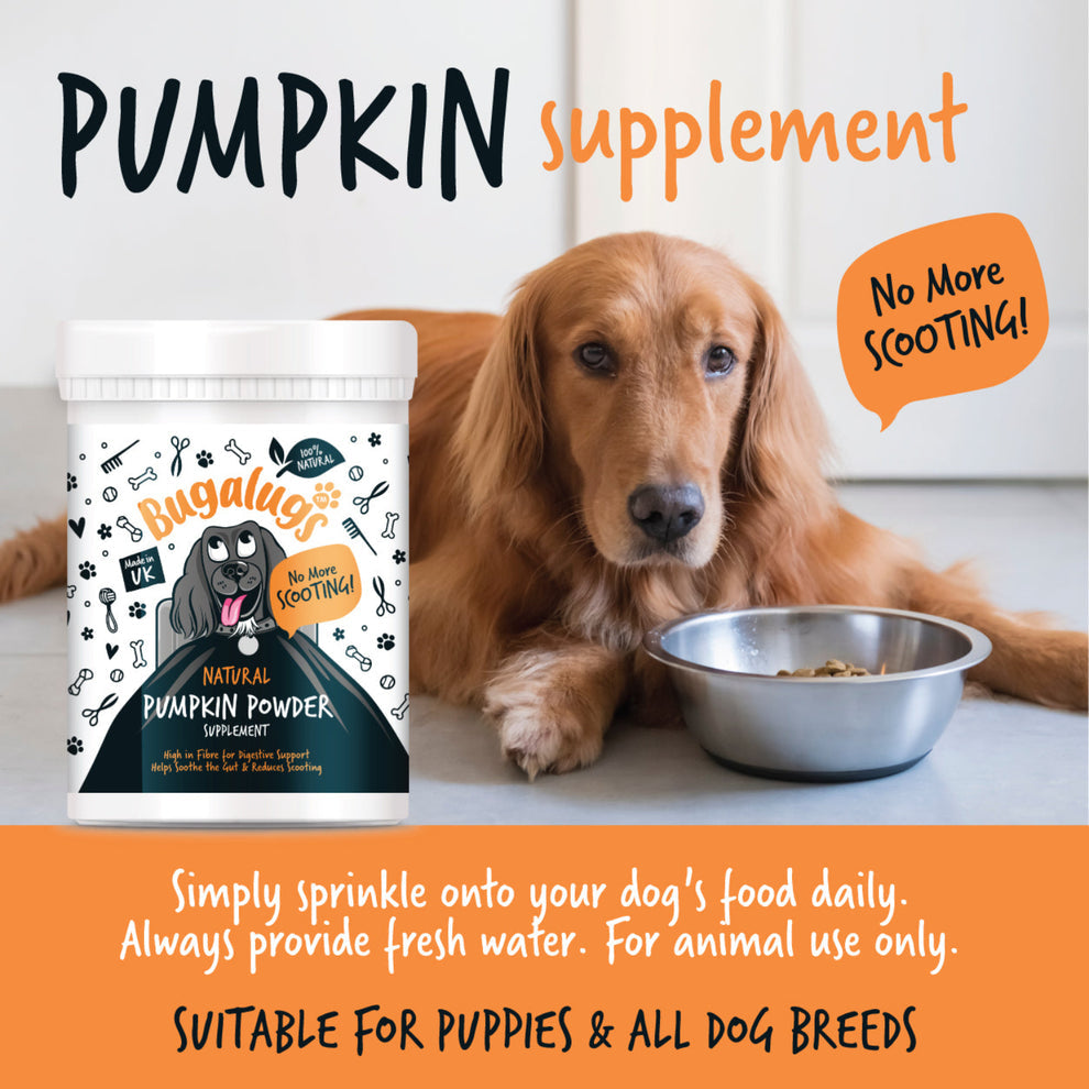 Bugalugs Pumpkin Powder Supplement for Dogs (200g)