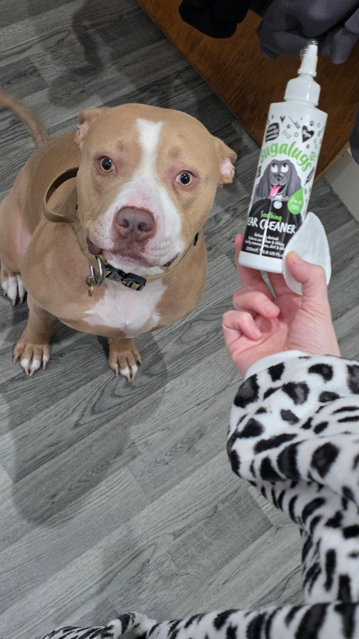 Bugalugs Soothing Ear Cleaner Solution for Dogs 200ml