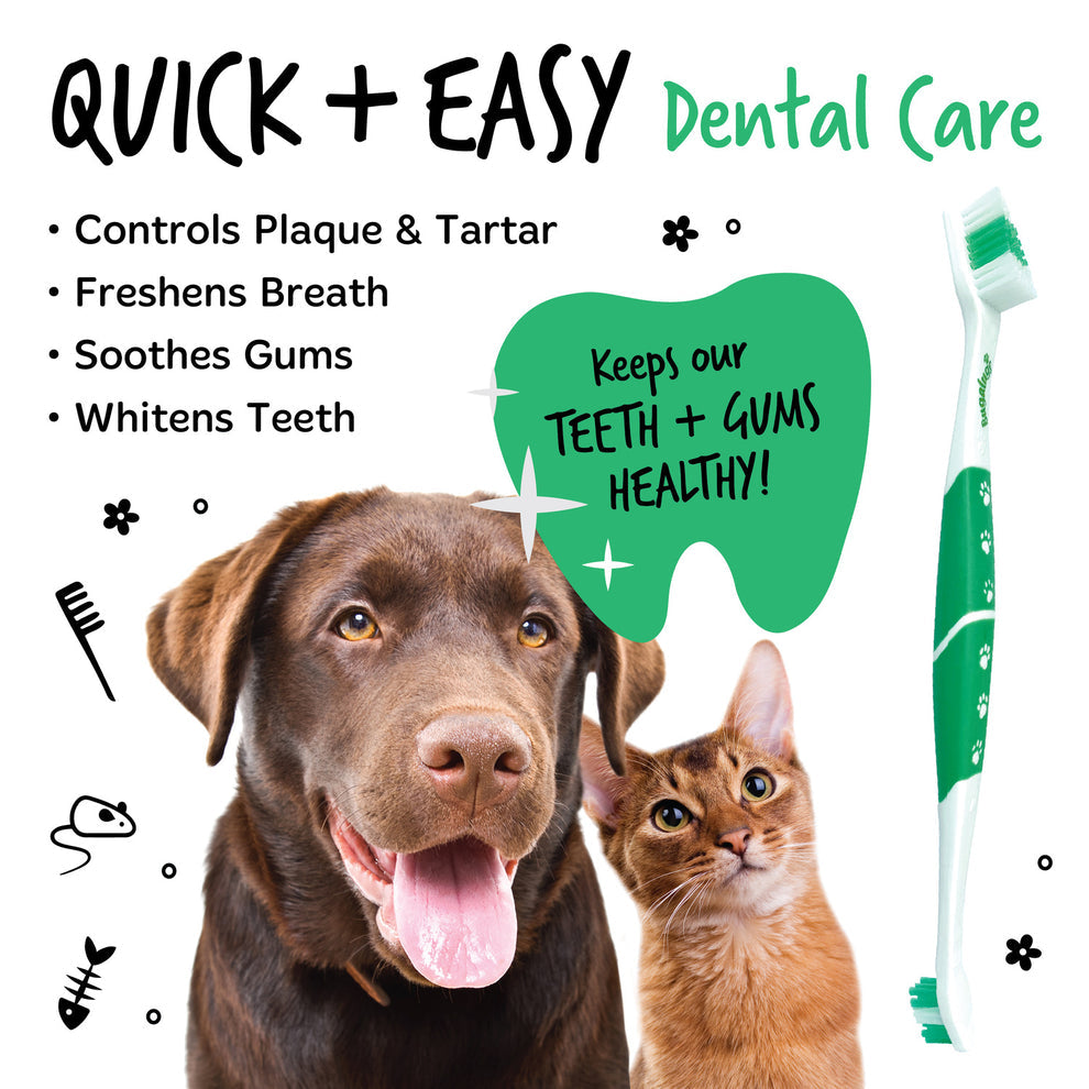 Bugalugs Pack of 2 Double Ended Dental Care Toothbrushes for Dogs & Cats