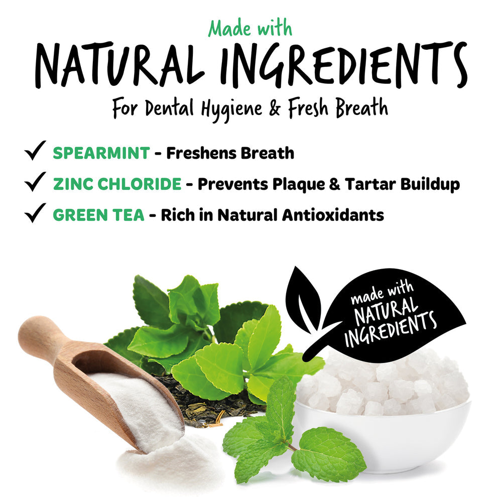 Bugalugs Dental Care Toothpaste Gel with Fresh Mint for Dogs & Cats 75g
