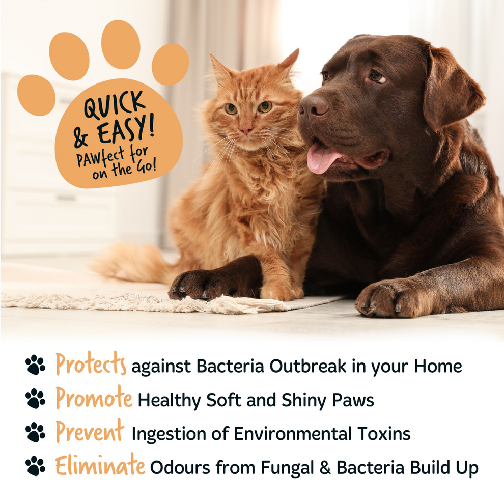 Bugalugs Oatmeal No-Rinse Paw Cleaner for Dogs & Cats 200ml