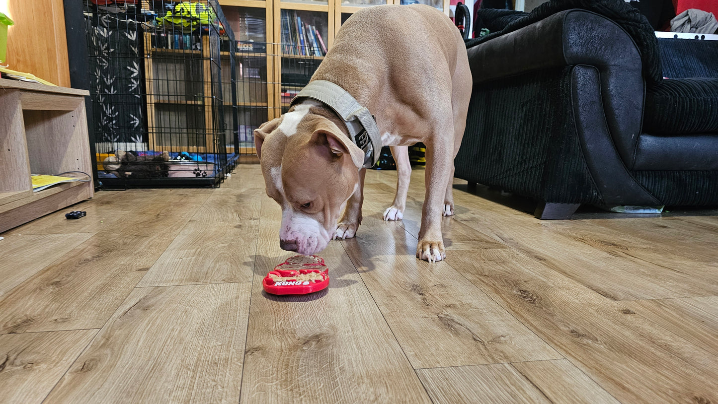 KONG LICKS