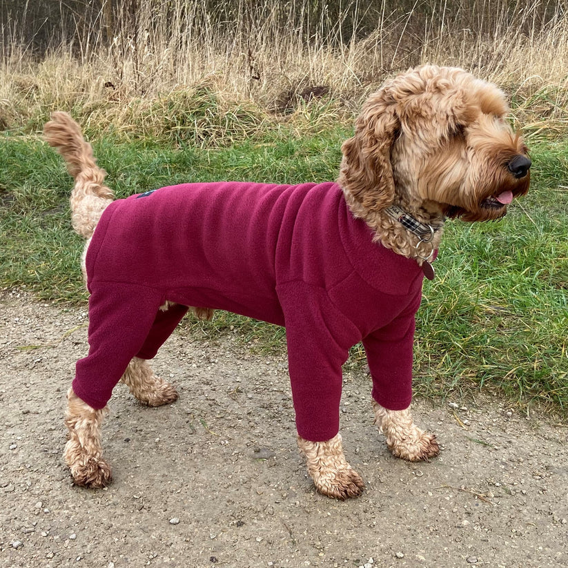 Pawsome Suits

4 Leg Dog Suit in Polar Fleece small