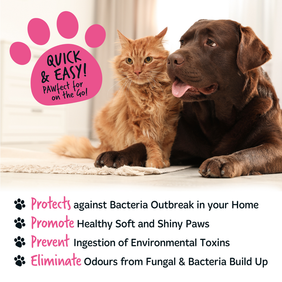 Bugalugs Baby Fresh No-Rinse Paw Cleaner for Dogs & Cats 200ml