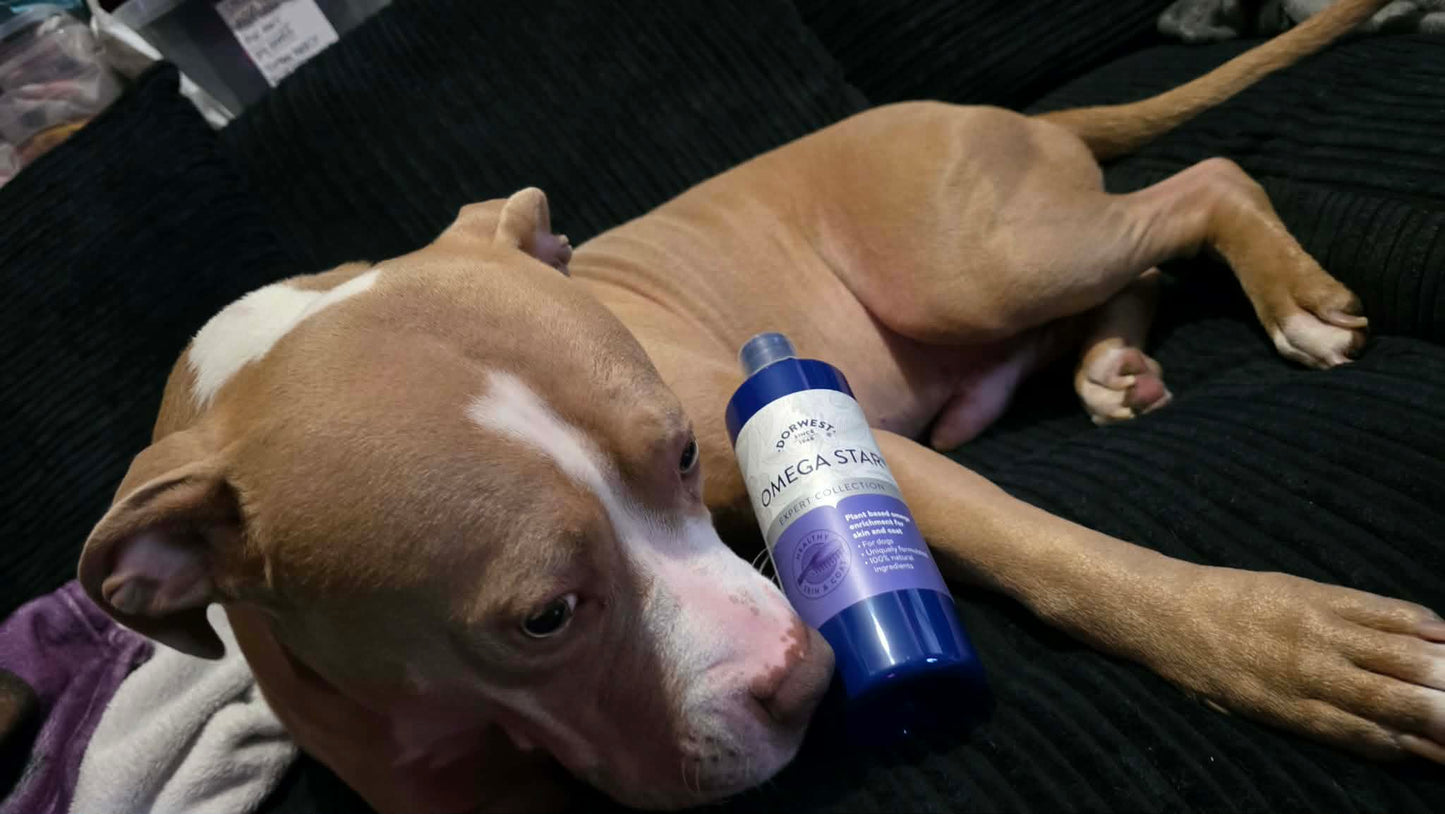 Omega Star® For Dogs 500ml