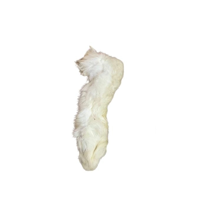 Rabbit feet