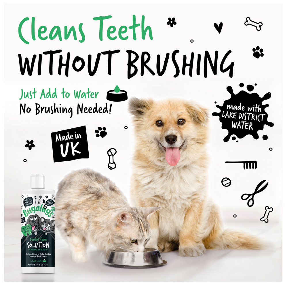Bugalugs Dental Care Solution Water Additive for Dogs & Cats 250ml