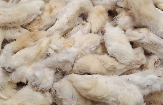 Rabbit feet