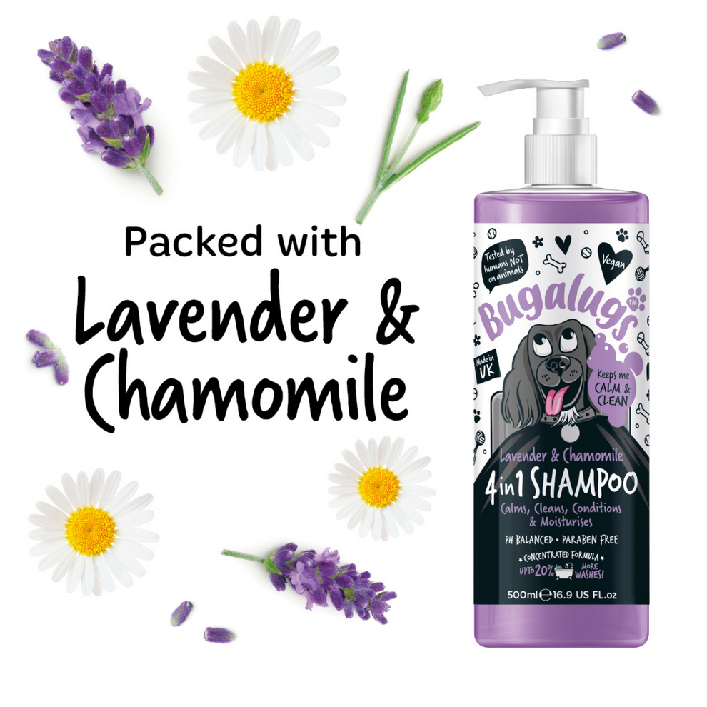 Bugalugs Lavender & Chamomile 4-in-1 Calming Dog Shampoo 250ml